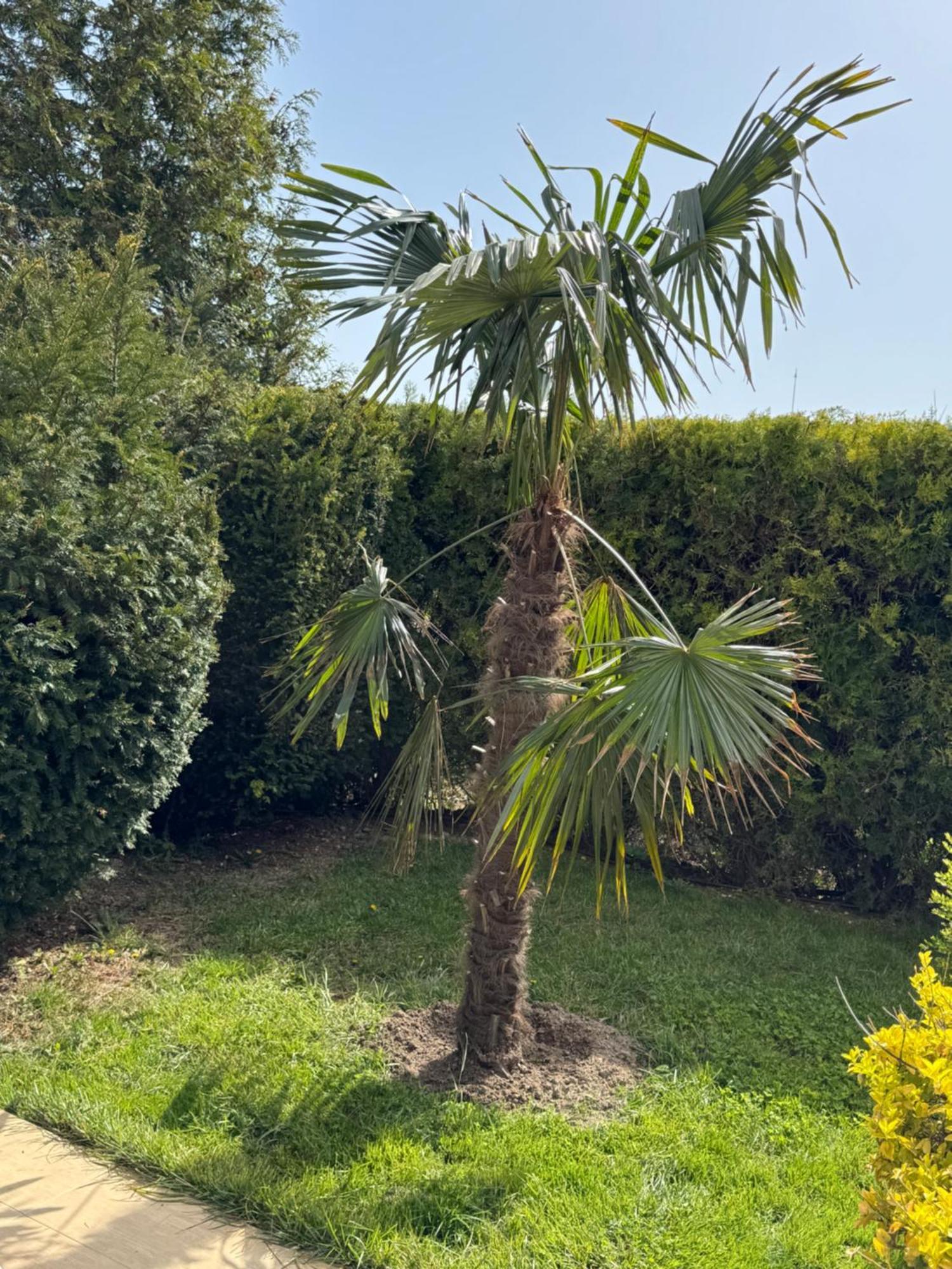 Villa Holiday Μπαλτσίκ Εξωτερικό φωτογραφία