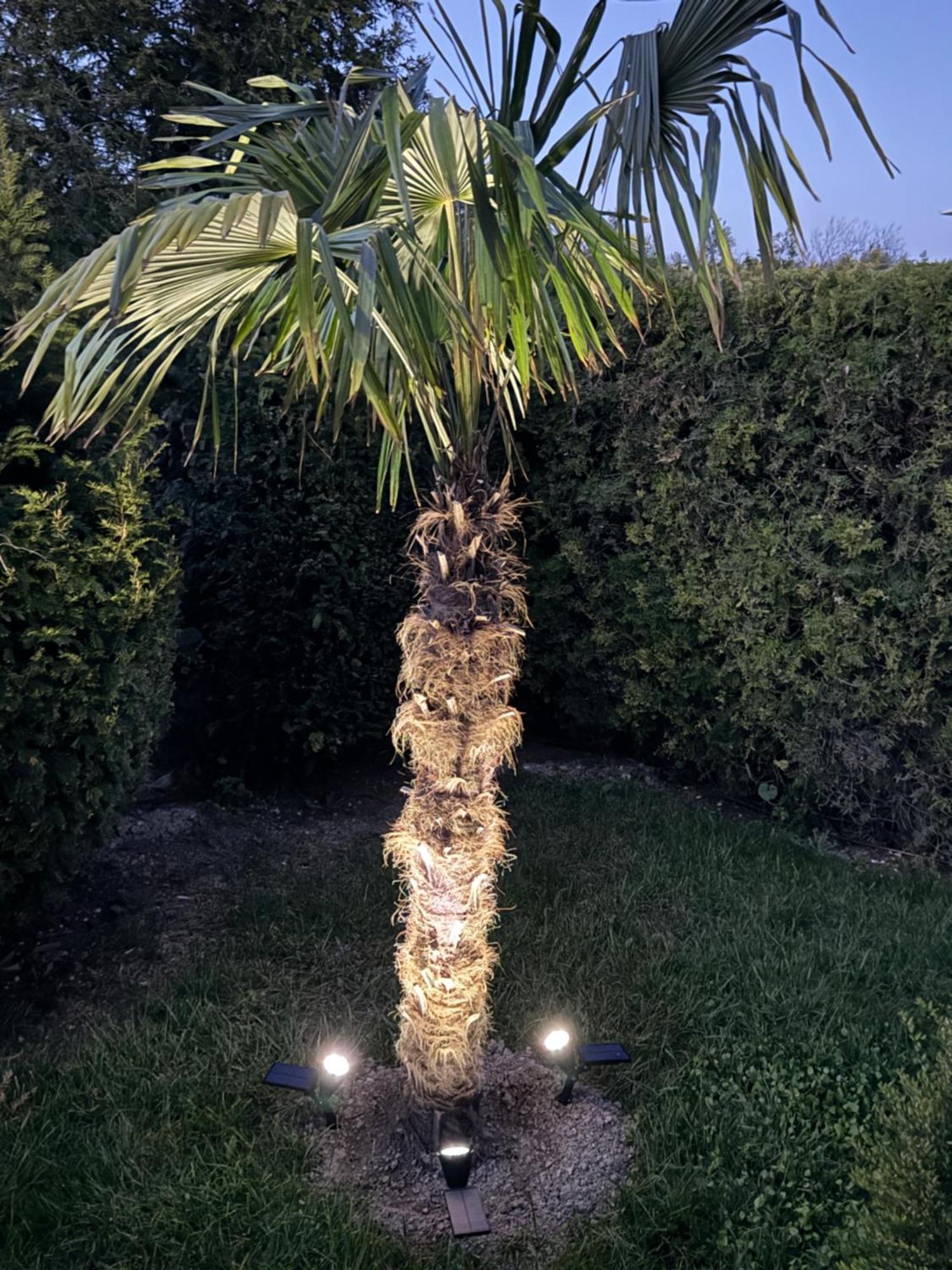 Villa Holiday Μπαλτσίκ Εξωτερικό φωτογραφία